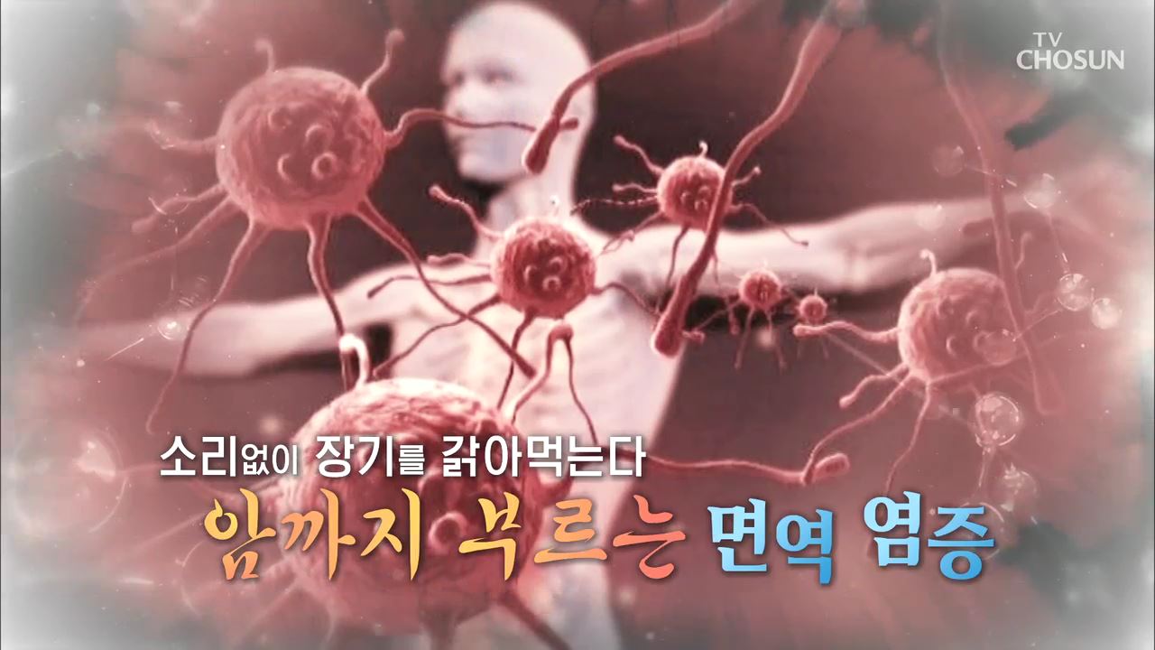 백세시대 프로젝트 위대한 유산 84회 