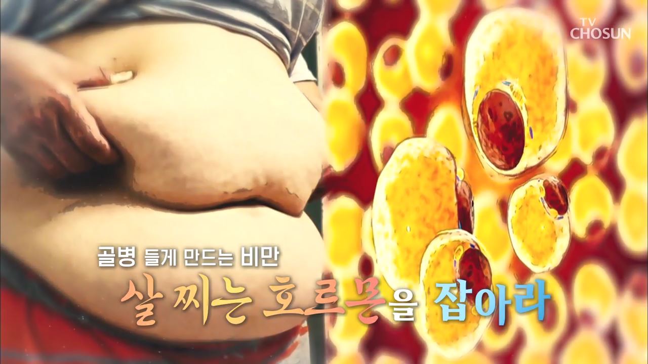 백세시대 프로젝트 위대한 유산 85회 