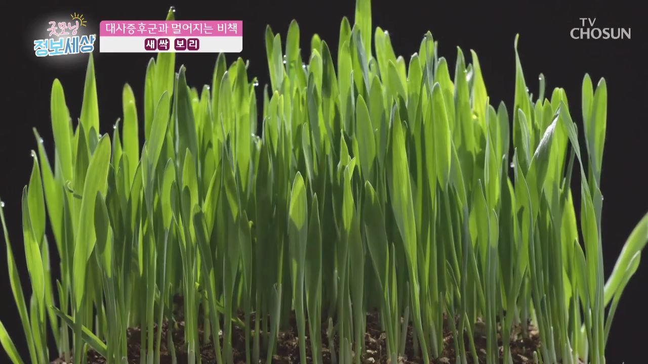 굿모닝 정보세상 228회