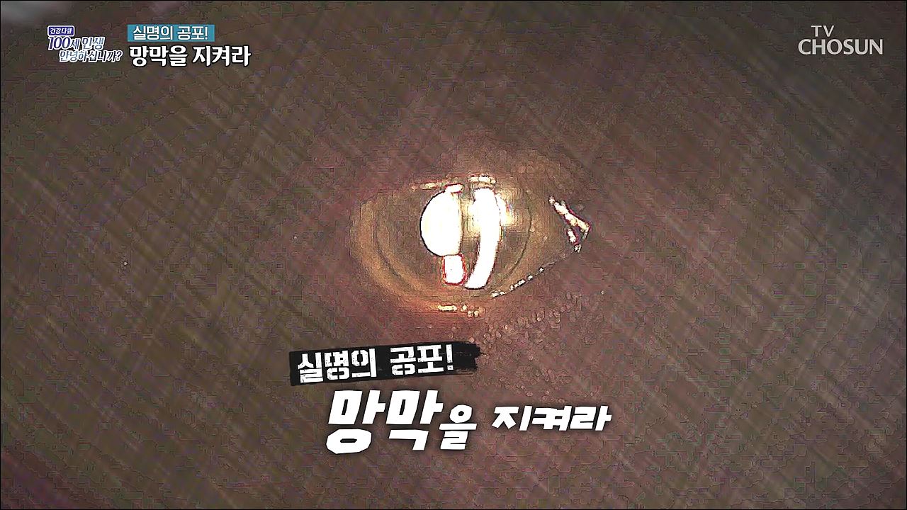 건강다큐 93회 - 실명의 공포! 망막을 지켜라