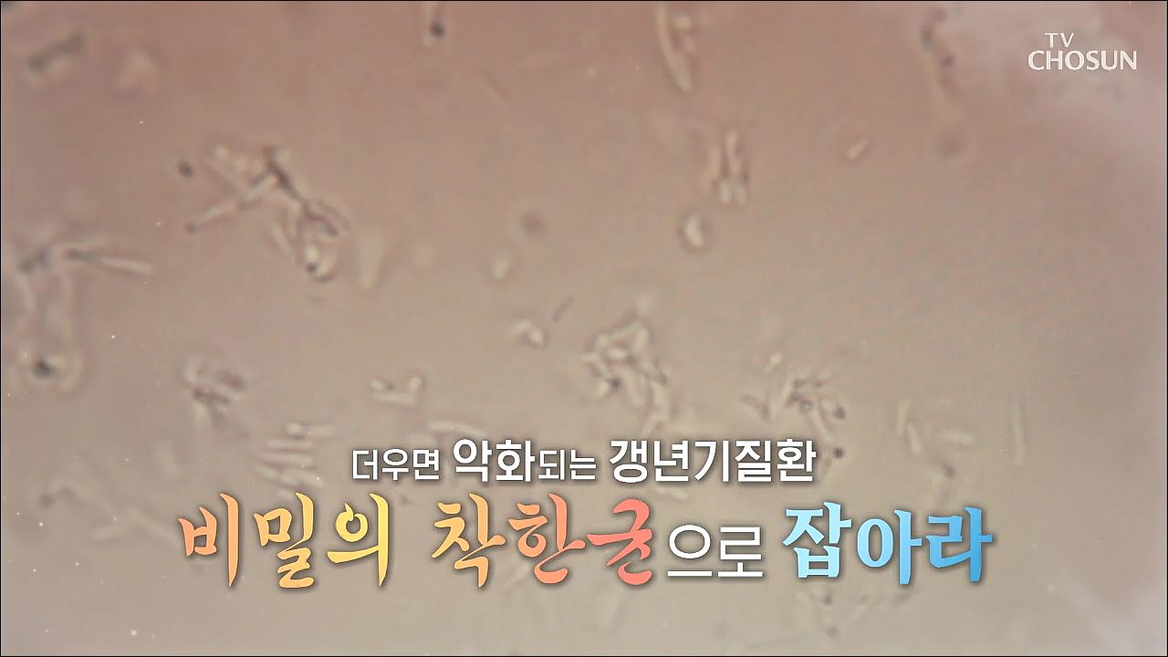 백세시대 프로젝트 위대한 유산 86회