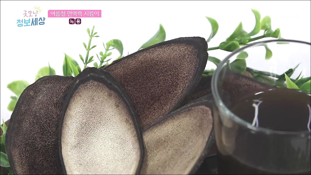 굿모닝 정보세상 235회