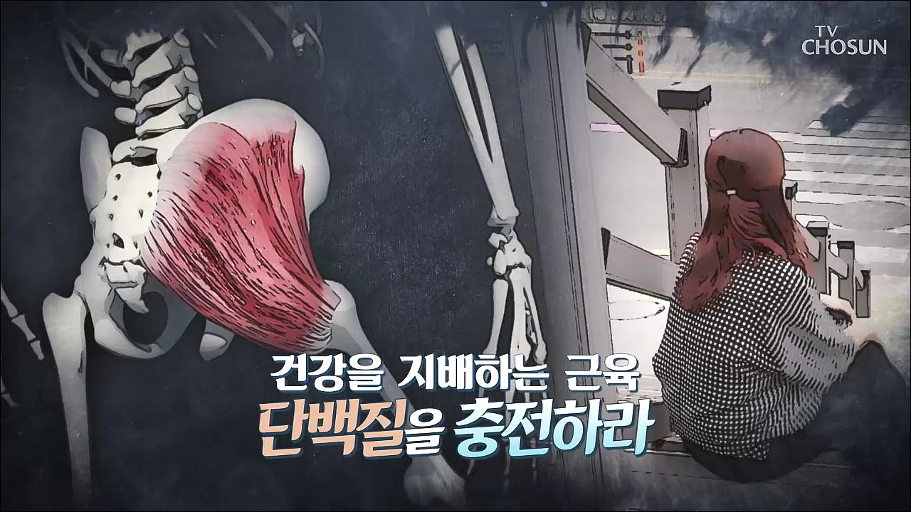 건강다큐 94회 - 건강을 지배하는 근육, 단백질을 충전하라
