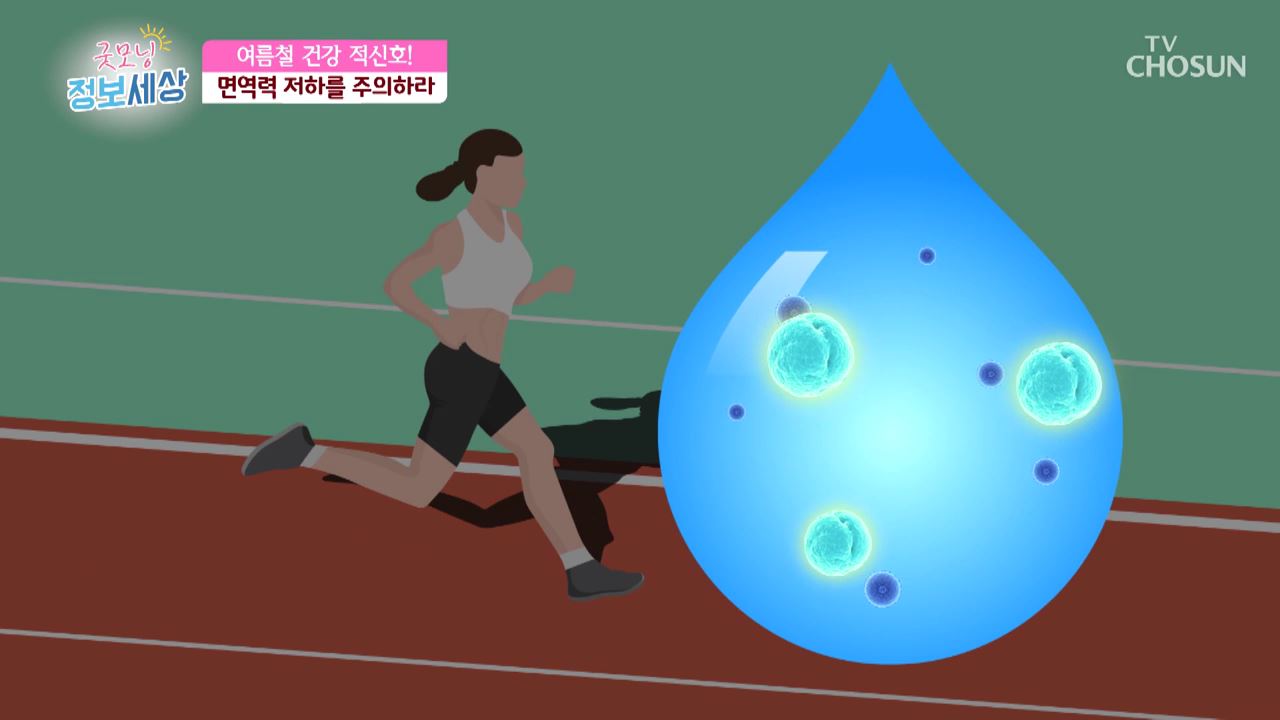 굿모닝 정보세상 236회