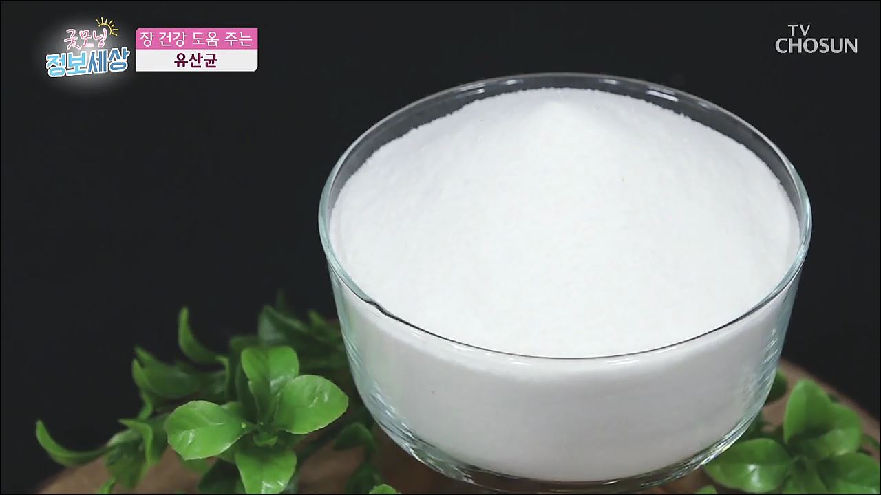 굿모닝 정보세상 237회