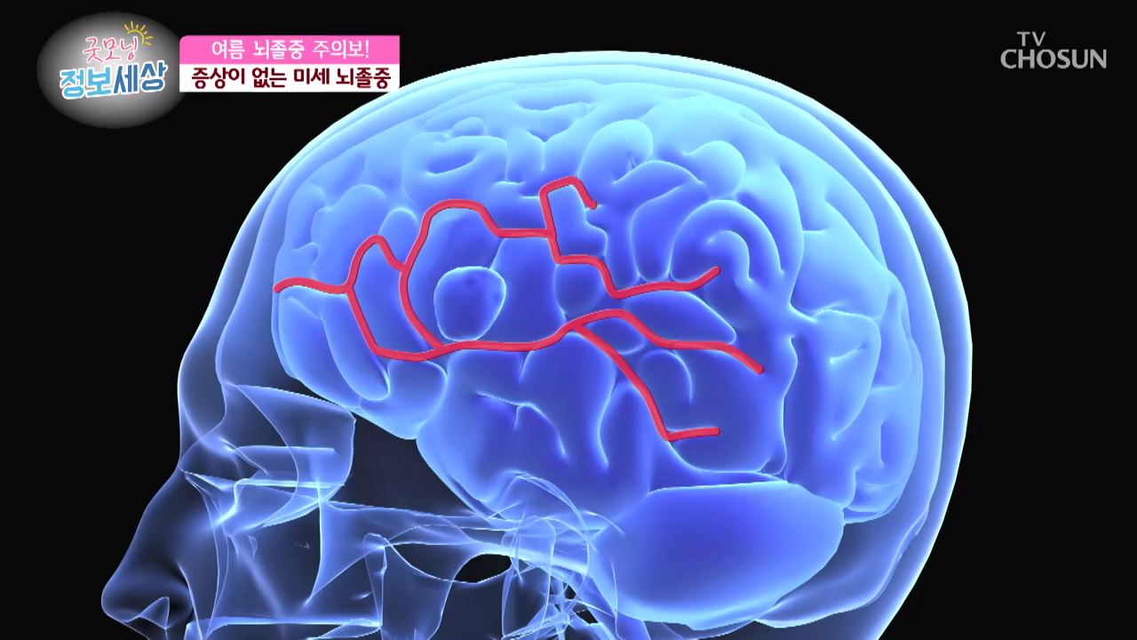 굿모닝 정보세상 238회