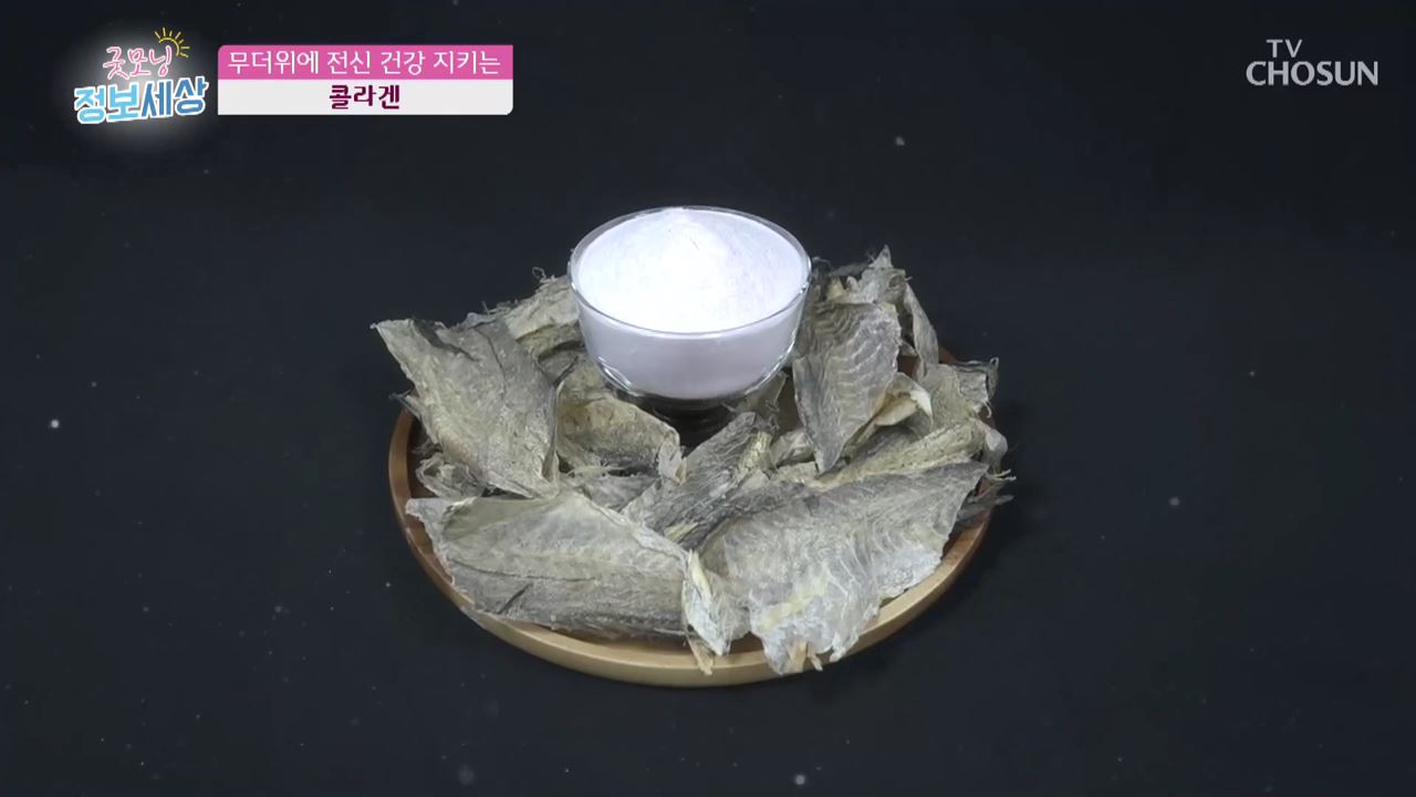 굿모닝 정보세상 240회