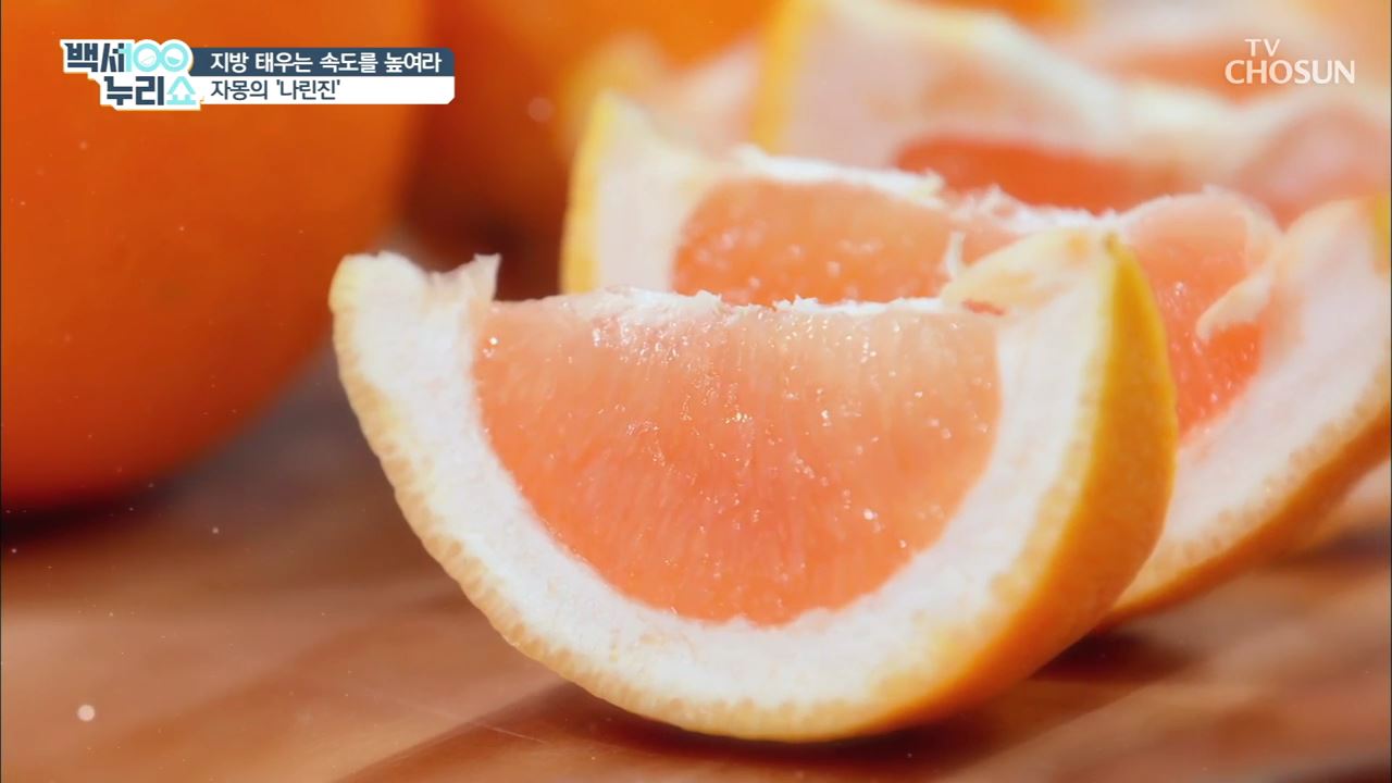 백세누리쇼 31회