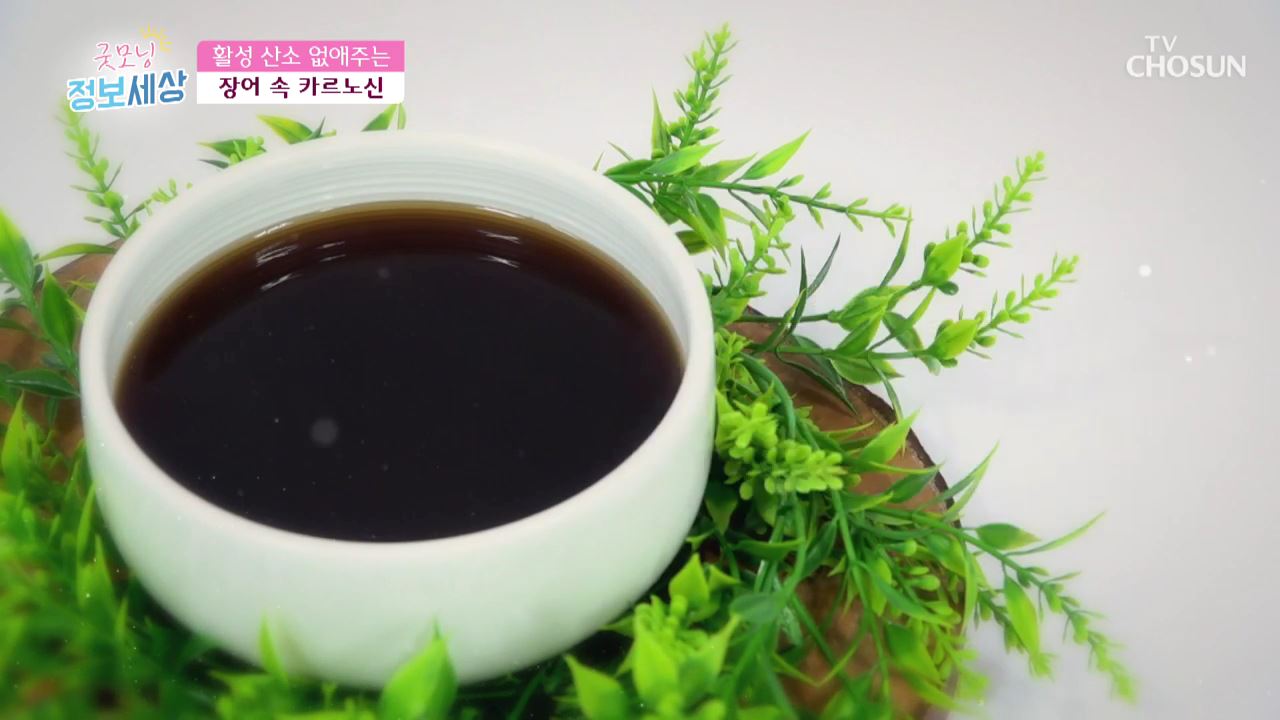 굿모닝 정보세상 242회