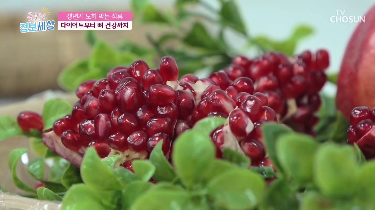 굿모닝 정보세상 243회