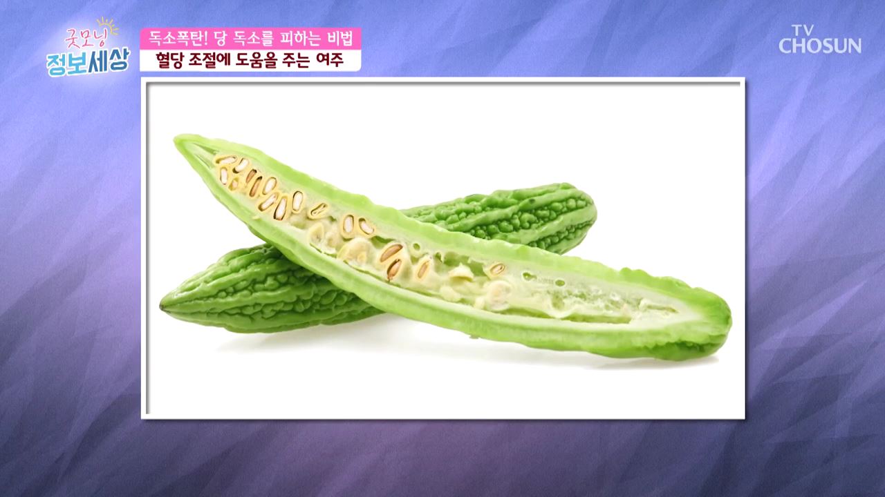 굿모닝 정보세상 244회