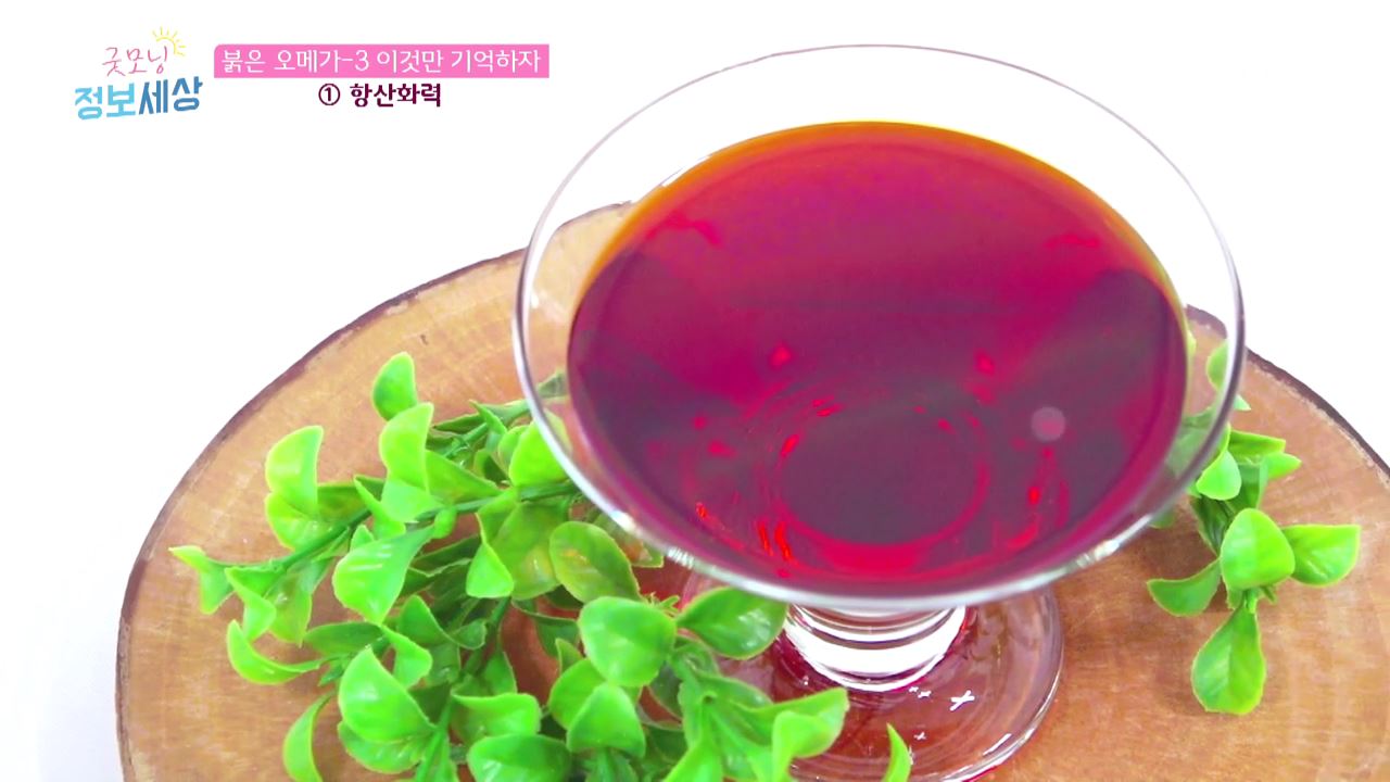 굿모닝 정보세상 245회
