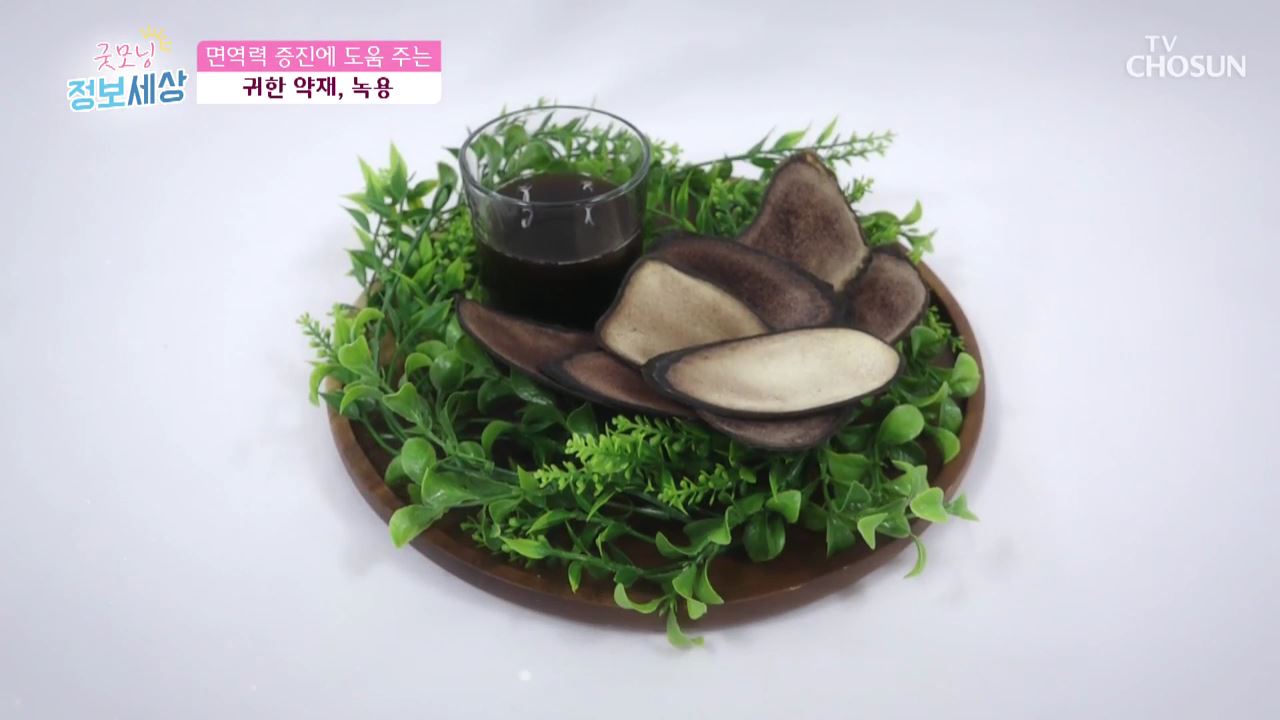 굿모닝 정보세상 246회