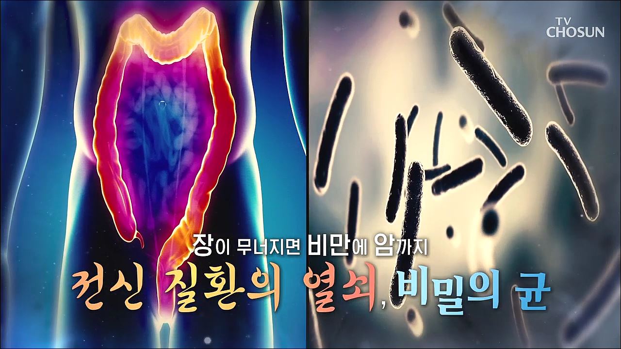 백세시대 프로젝트 위대한 유산 91회