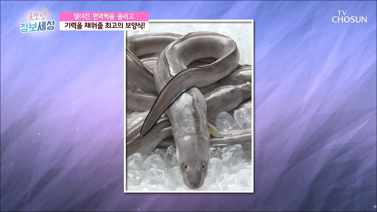 굿모닝 정보세상 252회