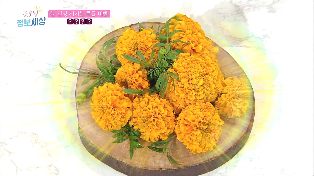 굿모닝 정보세상 253회