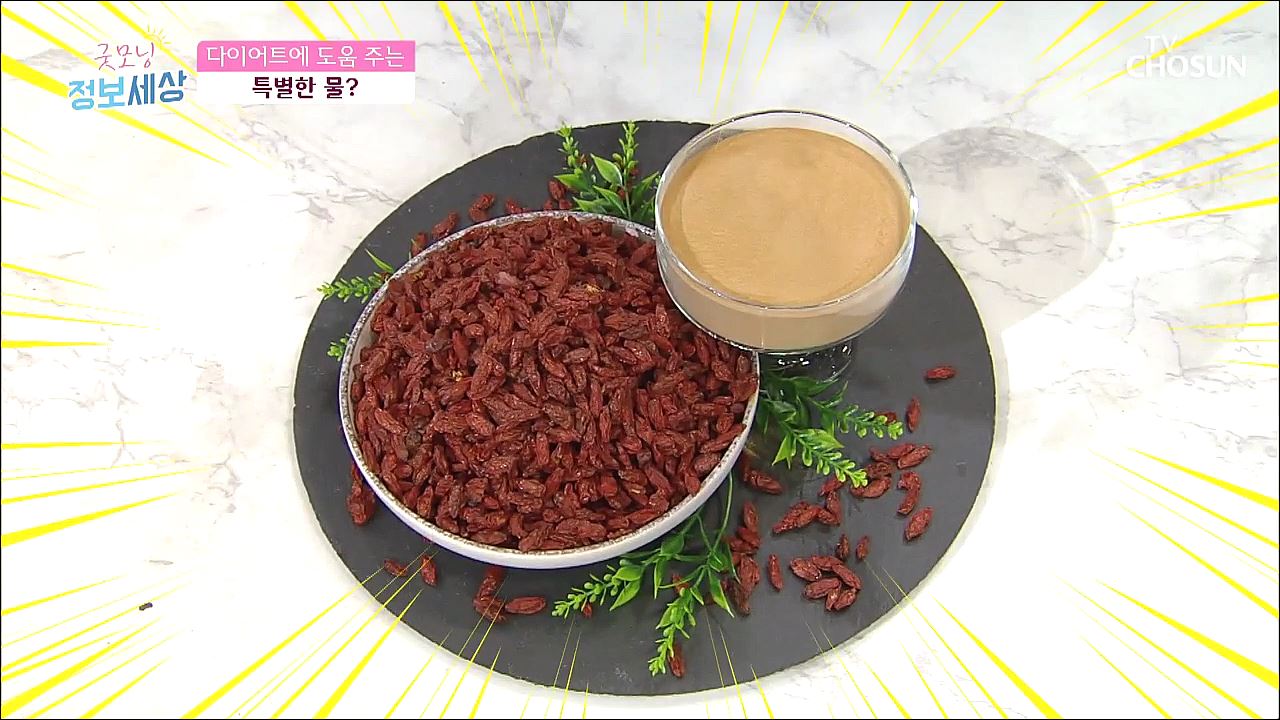 굿모닝 정보세상 255회