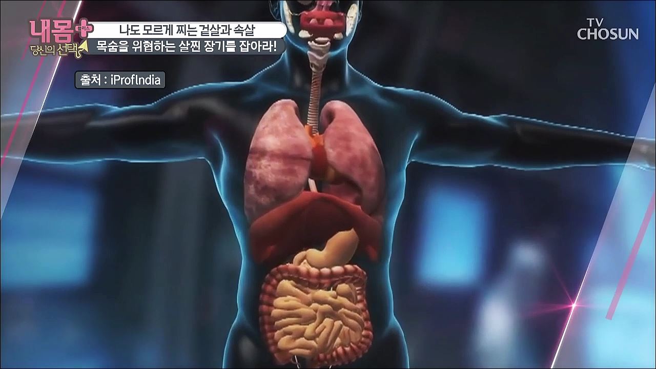 내 몸 플러스 208회