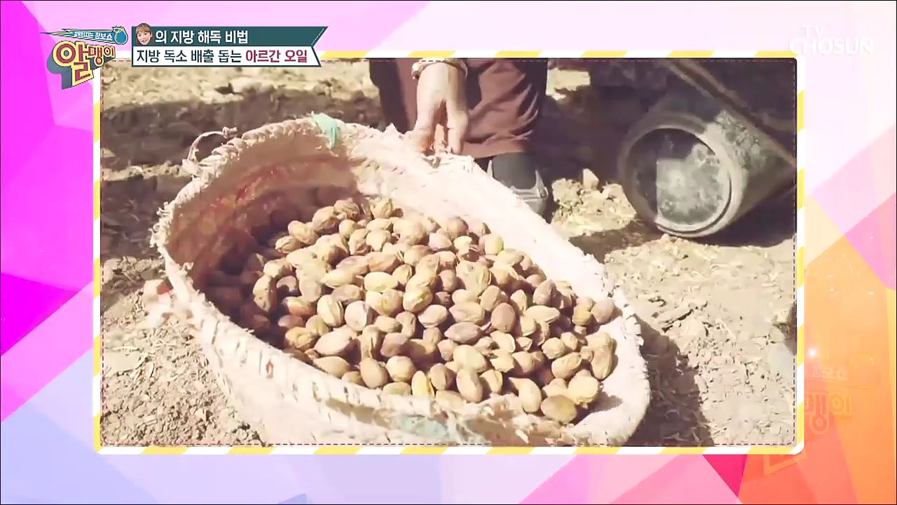 팡팡터지는 정보쇼 알맹이 85회