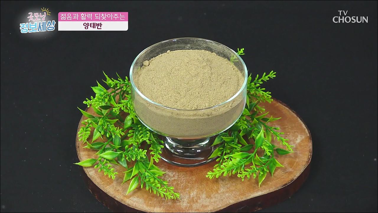 굿모닝 정보세상 258회