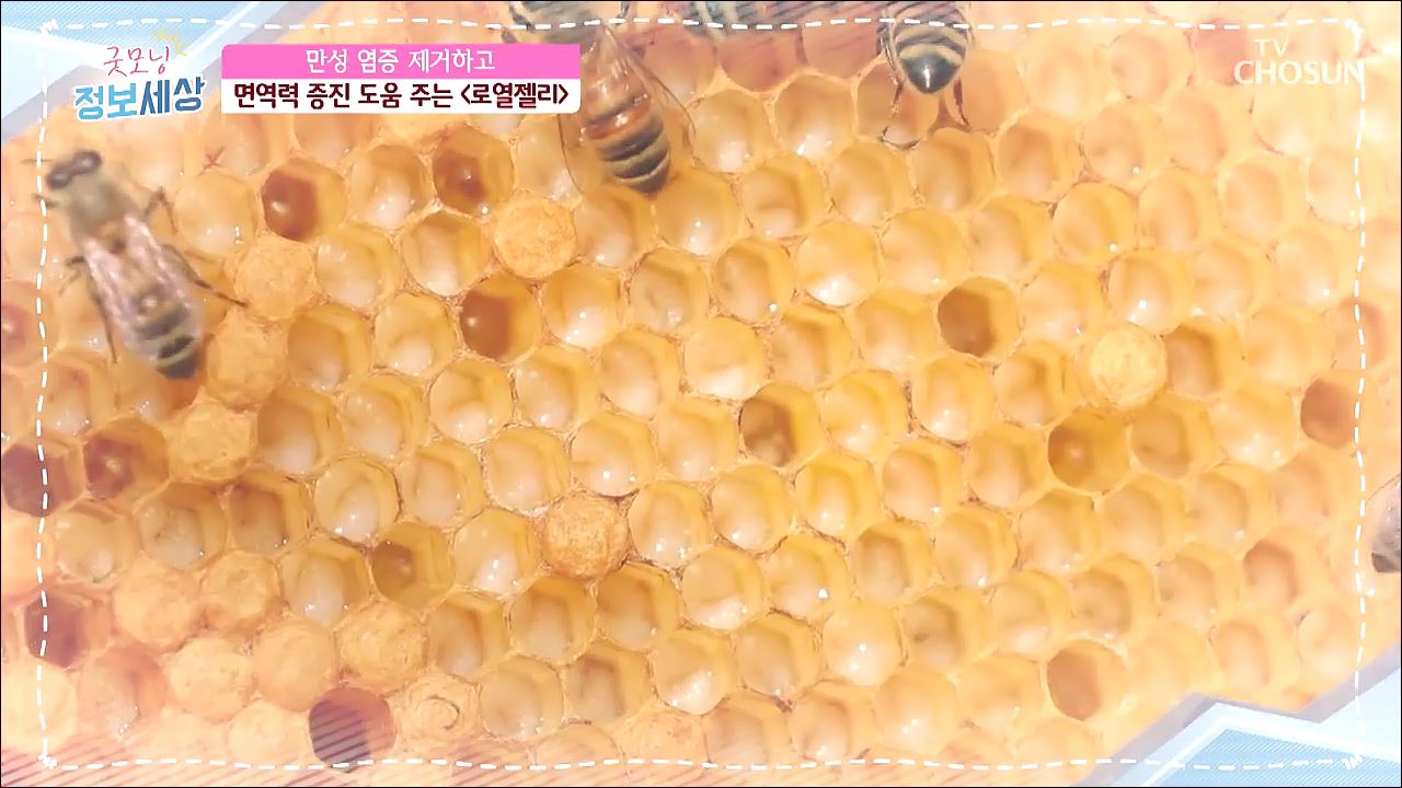 굿모닝 정보세상 259회
