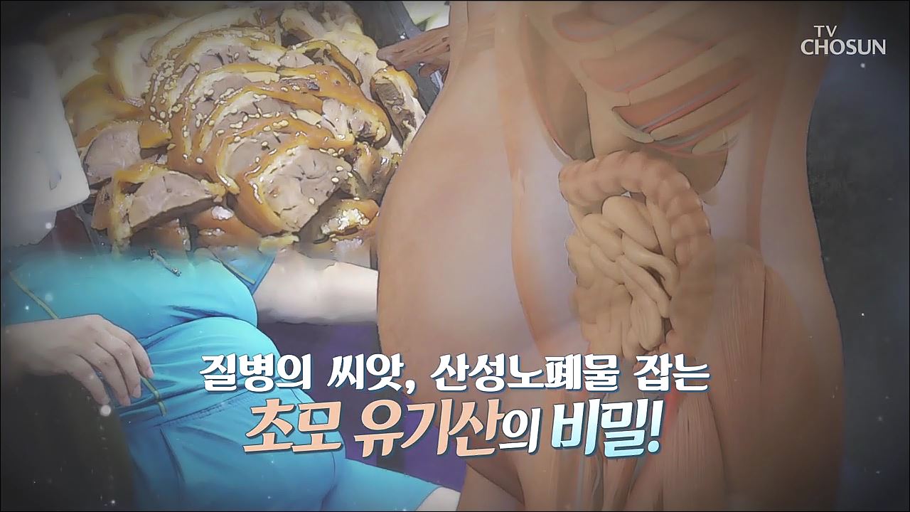 건강다큐 100회 - 질병의 씨앗, 산성노폐물 잡는 초모 유기산의 비밀!