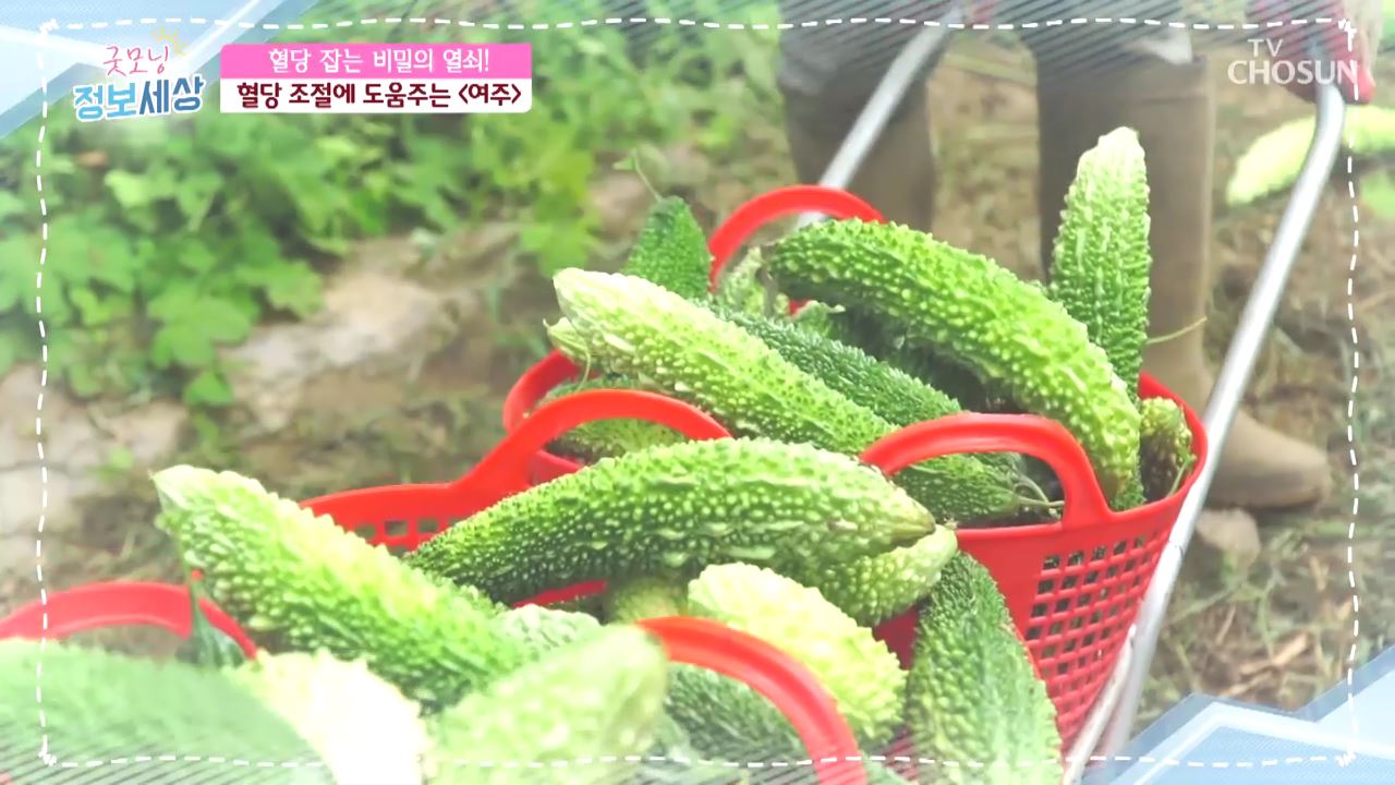 굿모닝 정보세상 263회