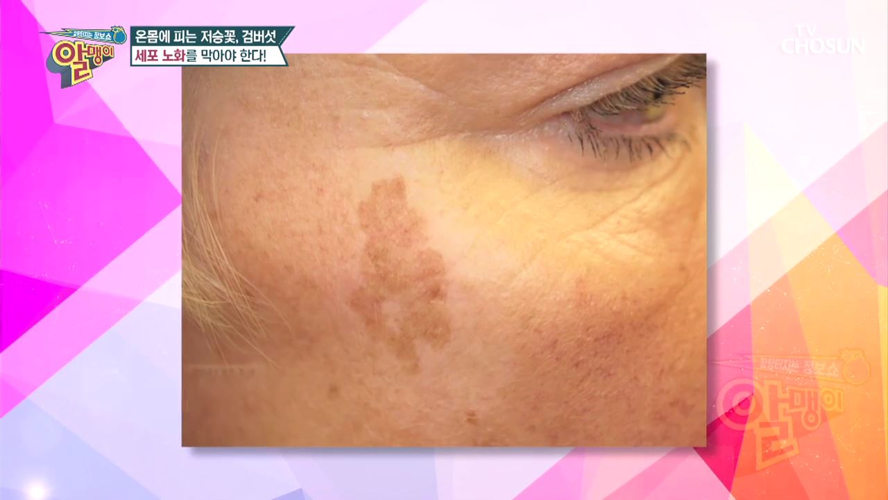 팡팡터지는 정보쇼 알맹이 87회