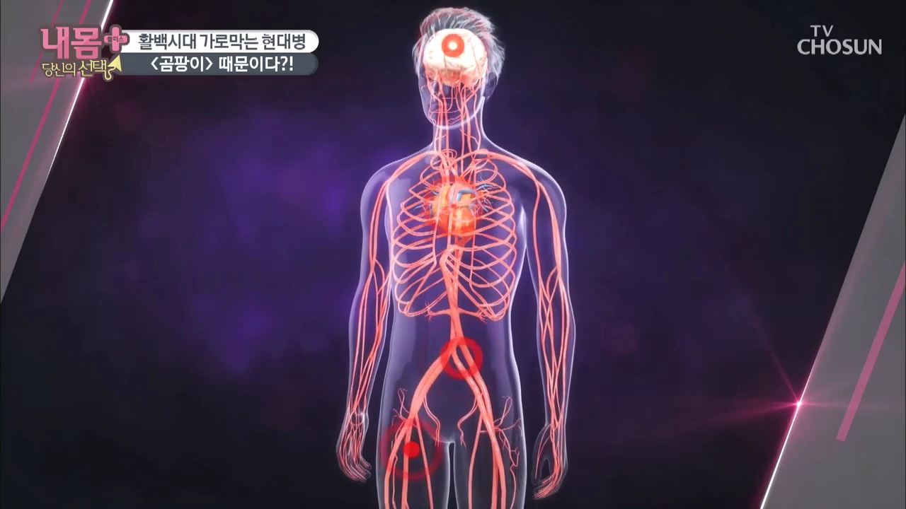 내 몸 플러스 211회