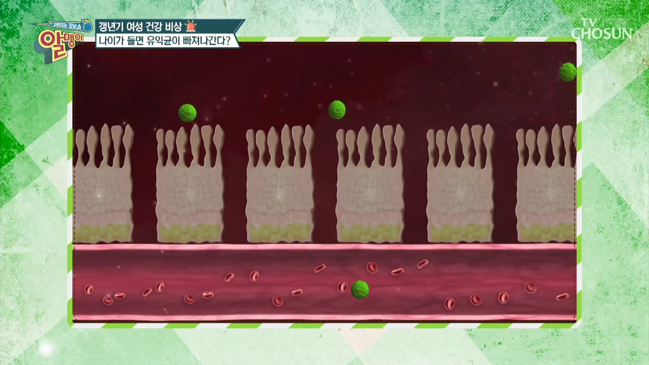 팡팡터지는 정보쇼 알맹이 88회 