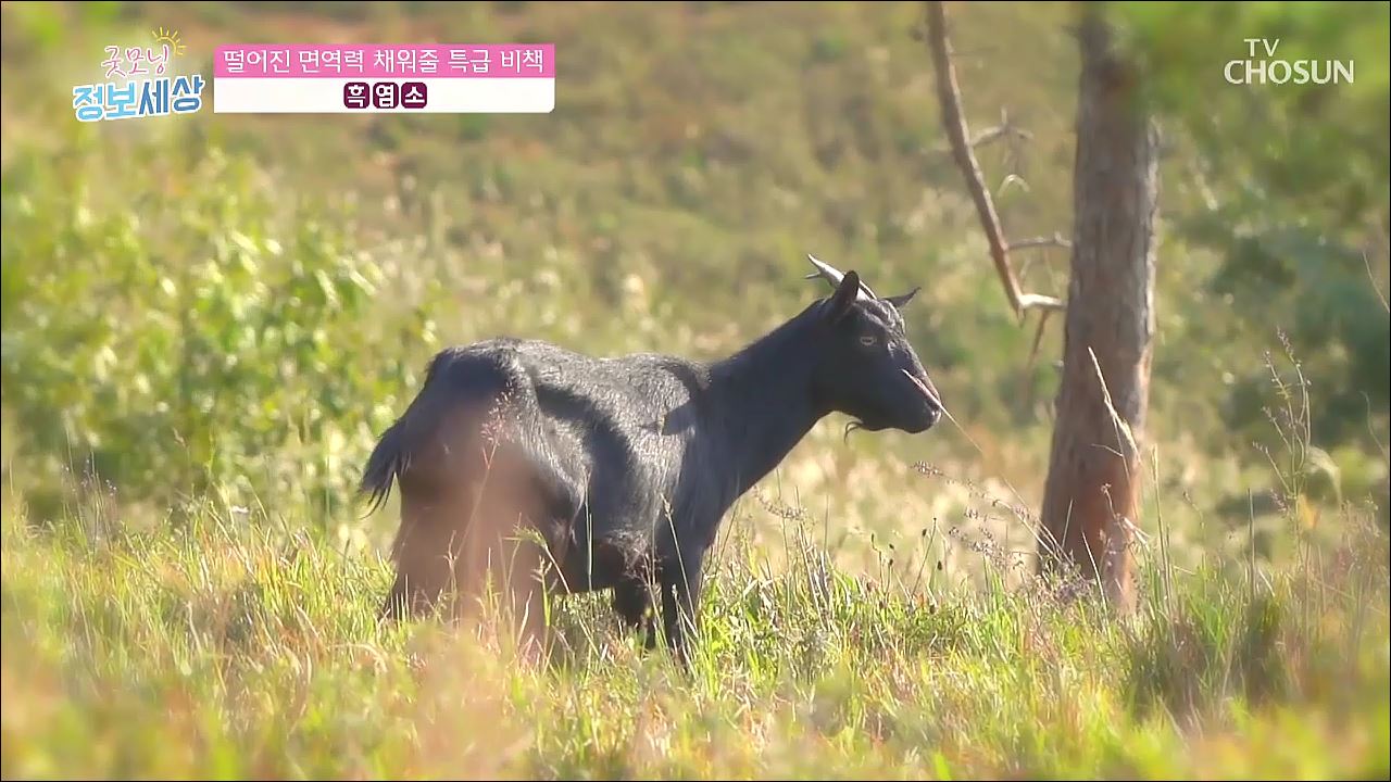 굿모닝 정보세상 270회 