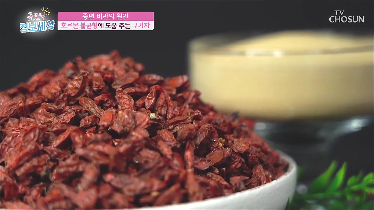 굿모닝 정보세상 271회 