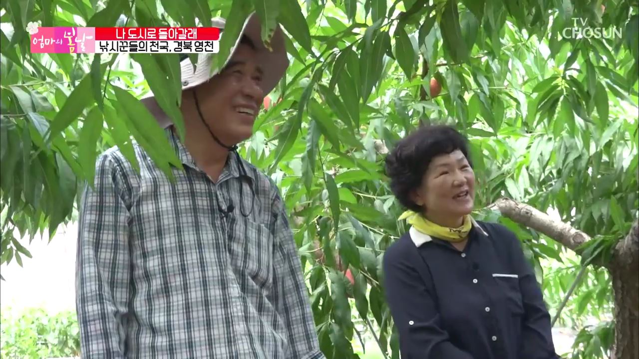 엄마의 봄날 260회