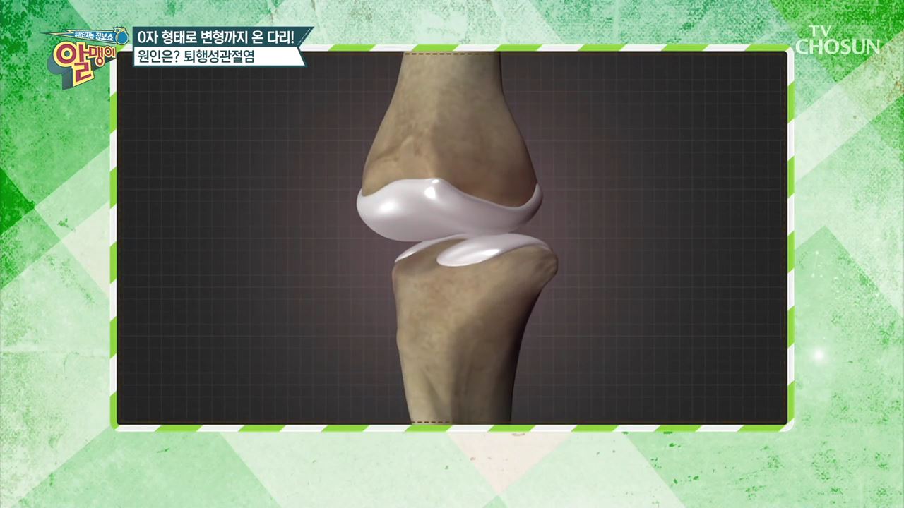팡팡터지는 정보쇼 알맹이 89회