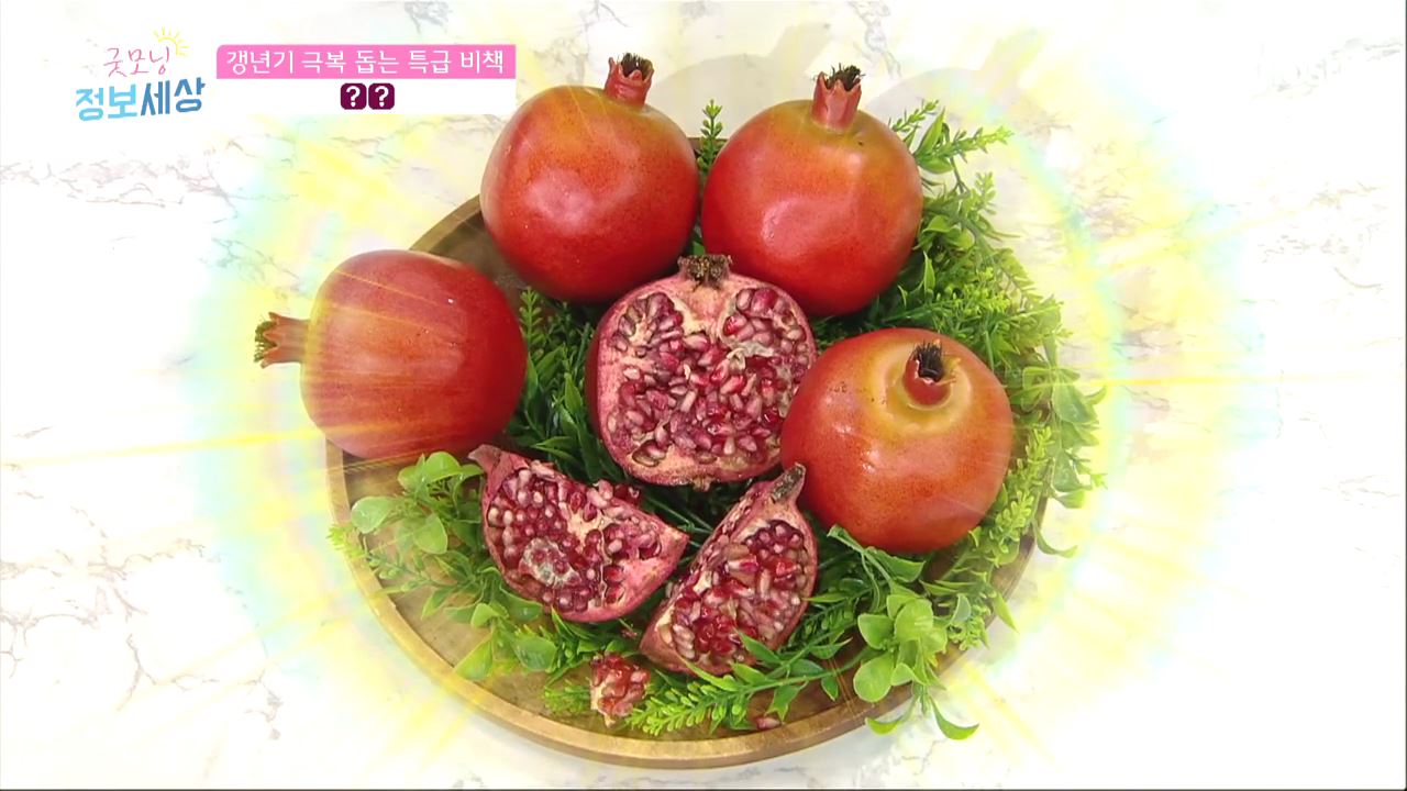 굿모닝 정보세상 273회 