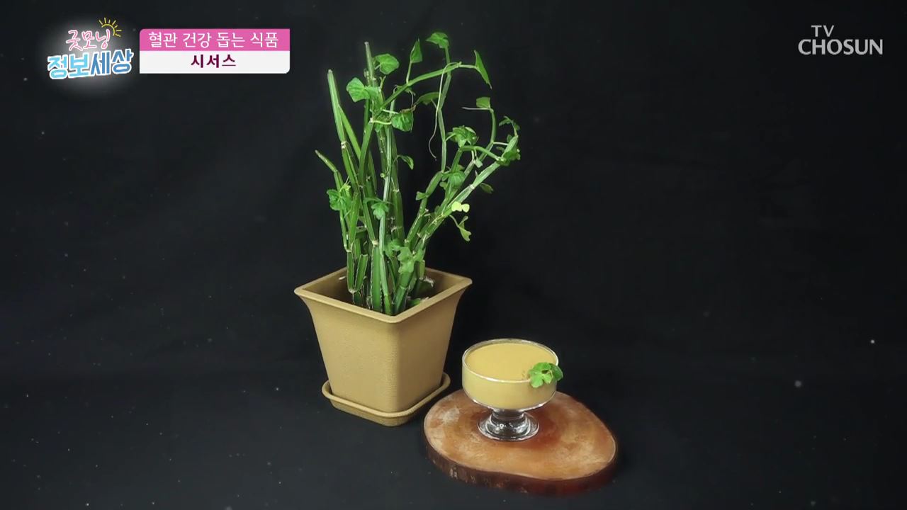 굿모닝 정보세상 275회 