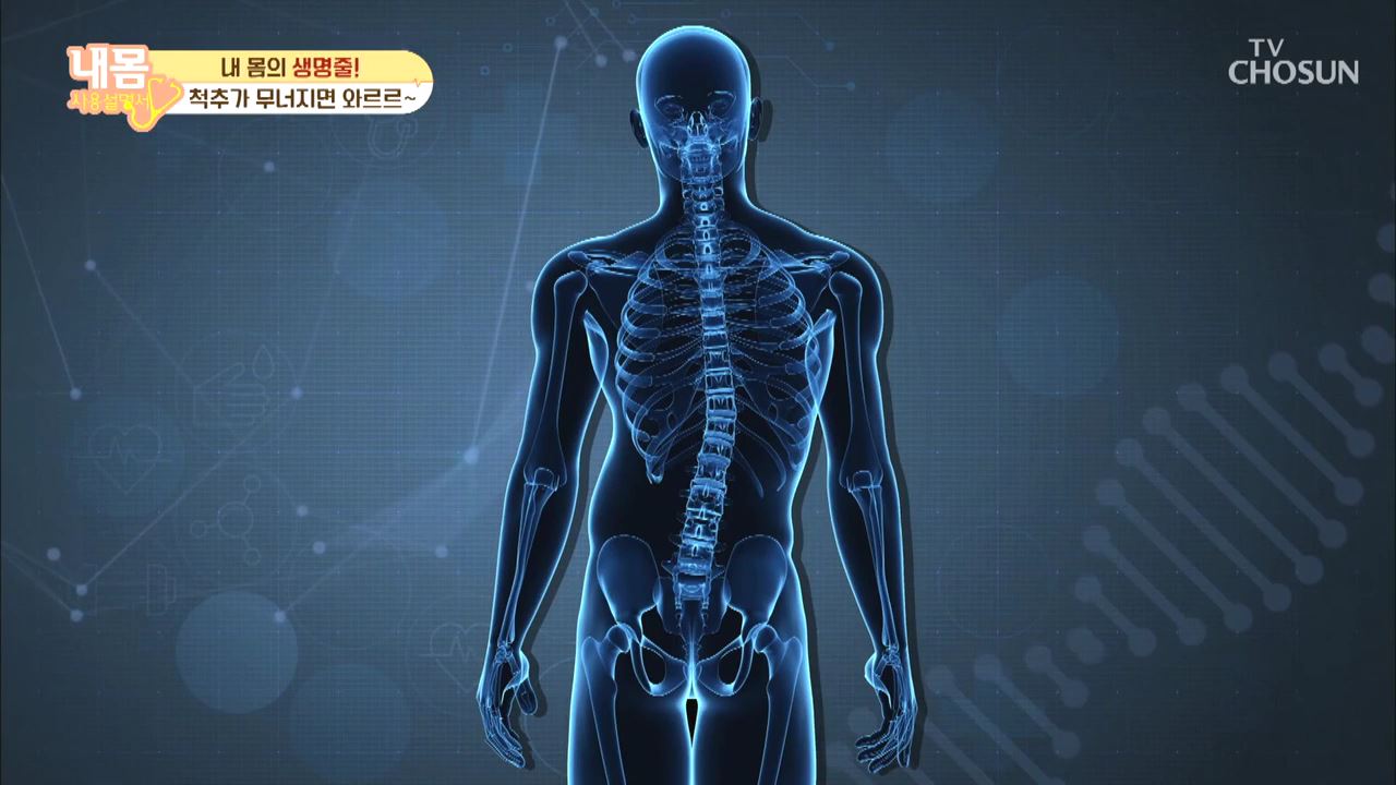 내 몸 사용 설명서 319회