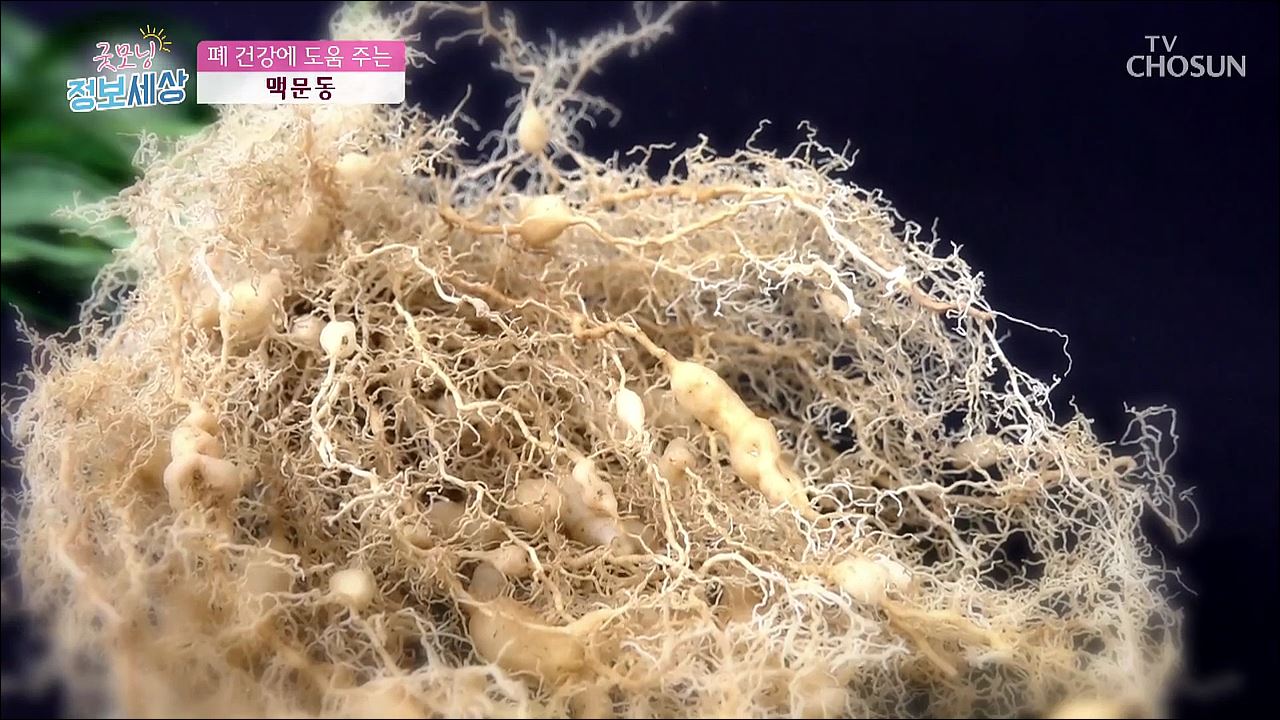 굿모닝 정보세상 279회