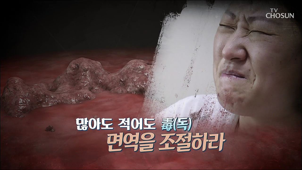 건강다큐 106회 - 많아도 적어도 독 면역을 조절하라