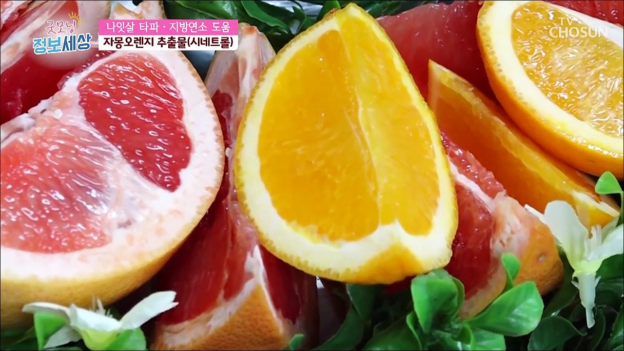 굿모닝 정보세상 284회