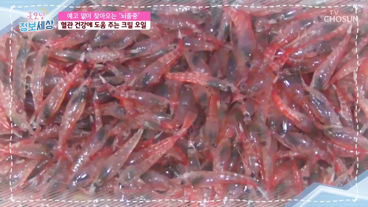 굿모닝 정보세상 286회