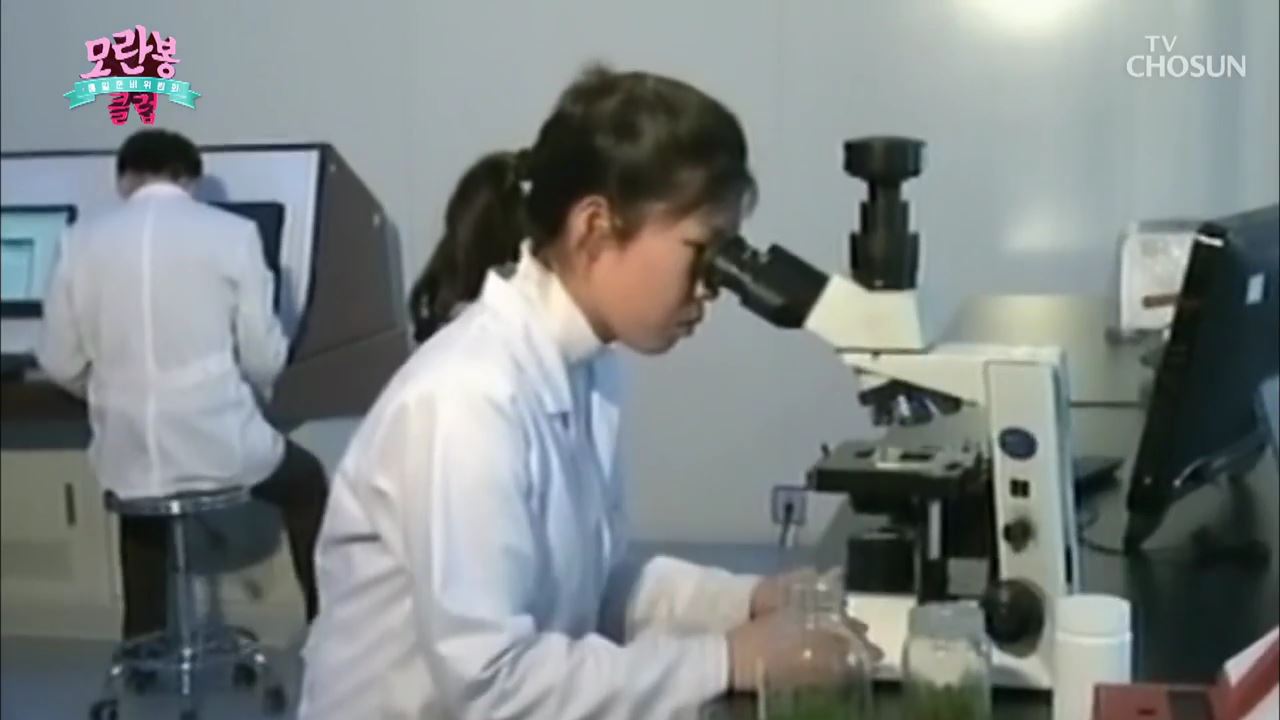 모란봉 클럽 258회