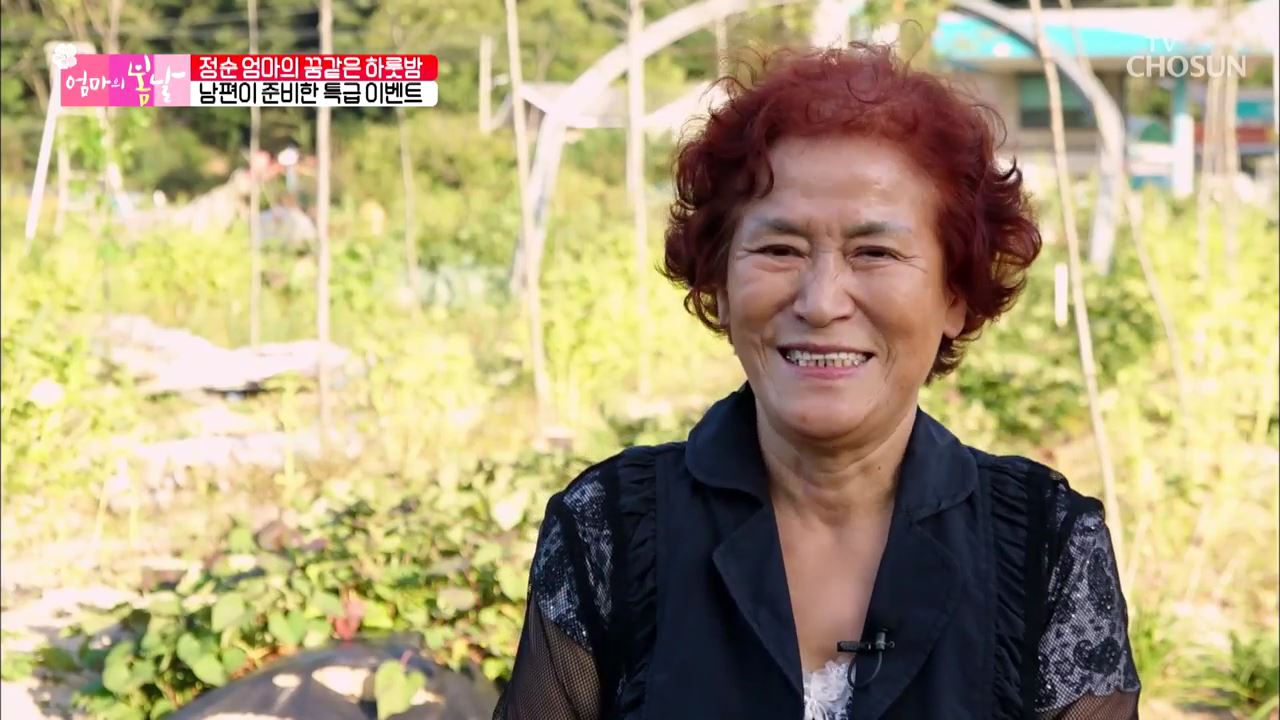 엄마의 봄날 265회 