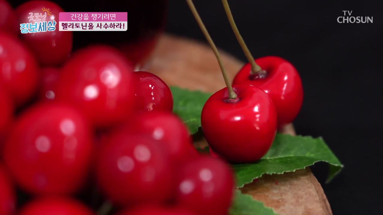 굿모닝 정보세상 292회