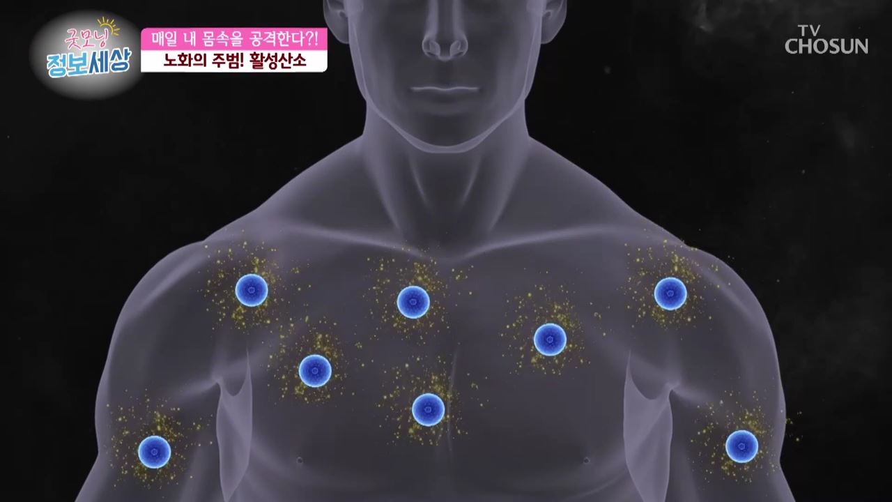 굿모닝 정보세상 295회