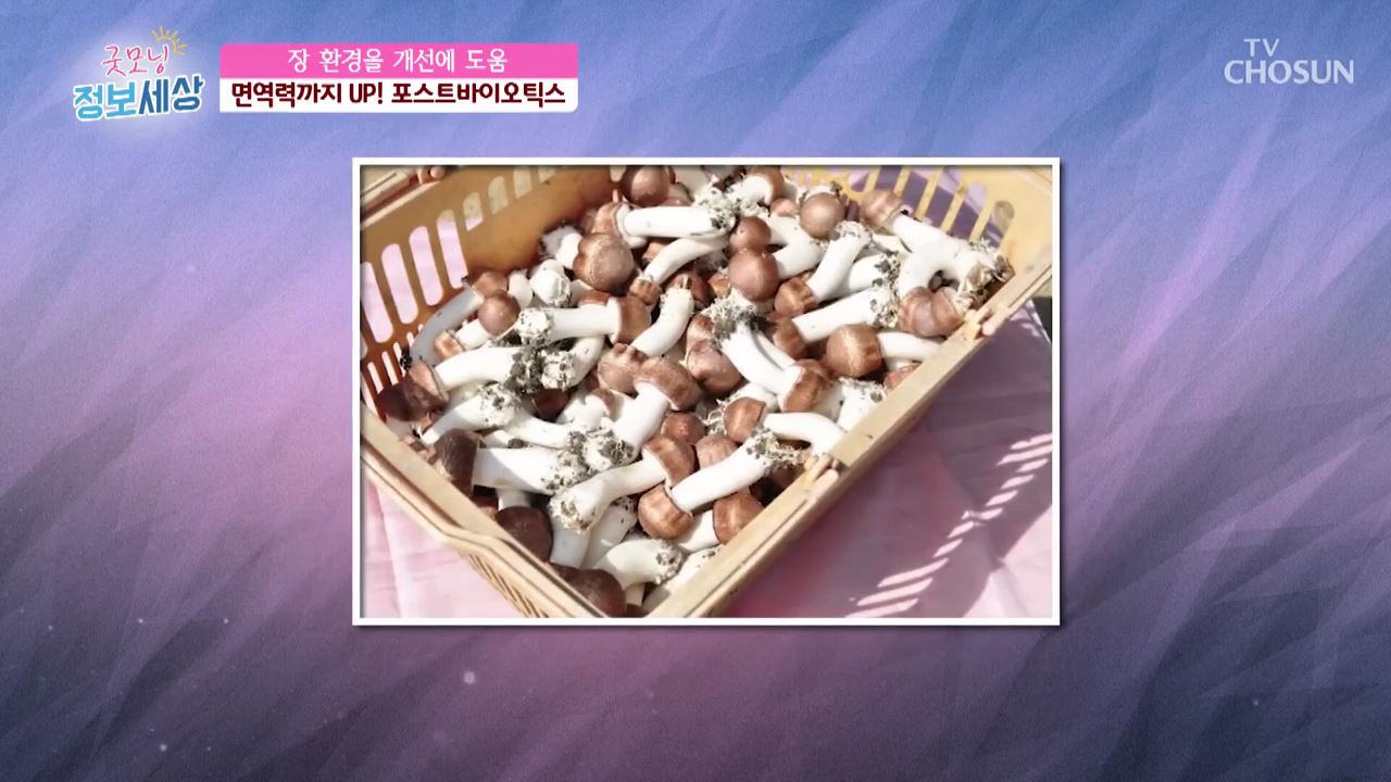 굿모닝 정보세상 298회