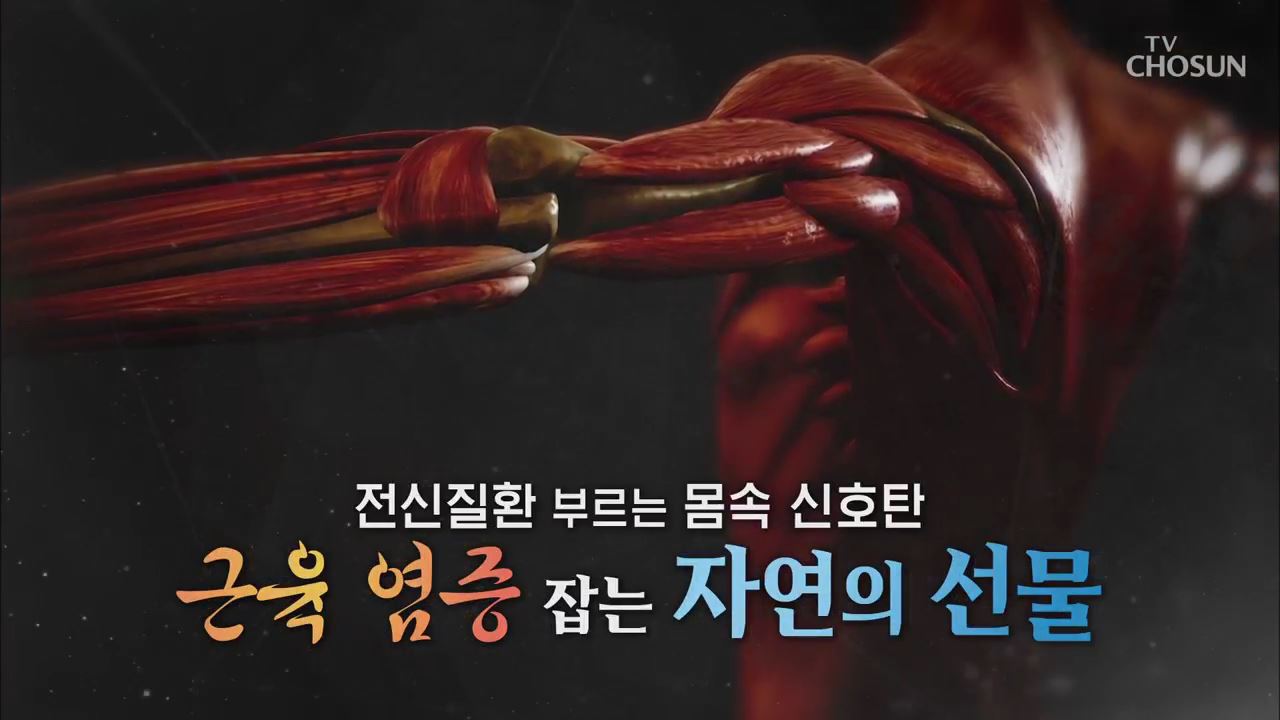 백세시대 프로젝트 위대한 유산 103회