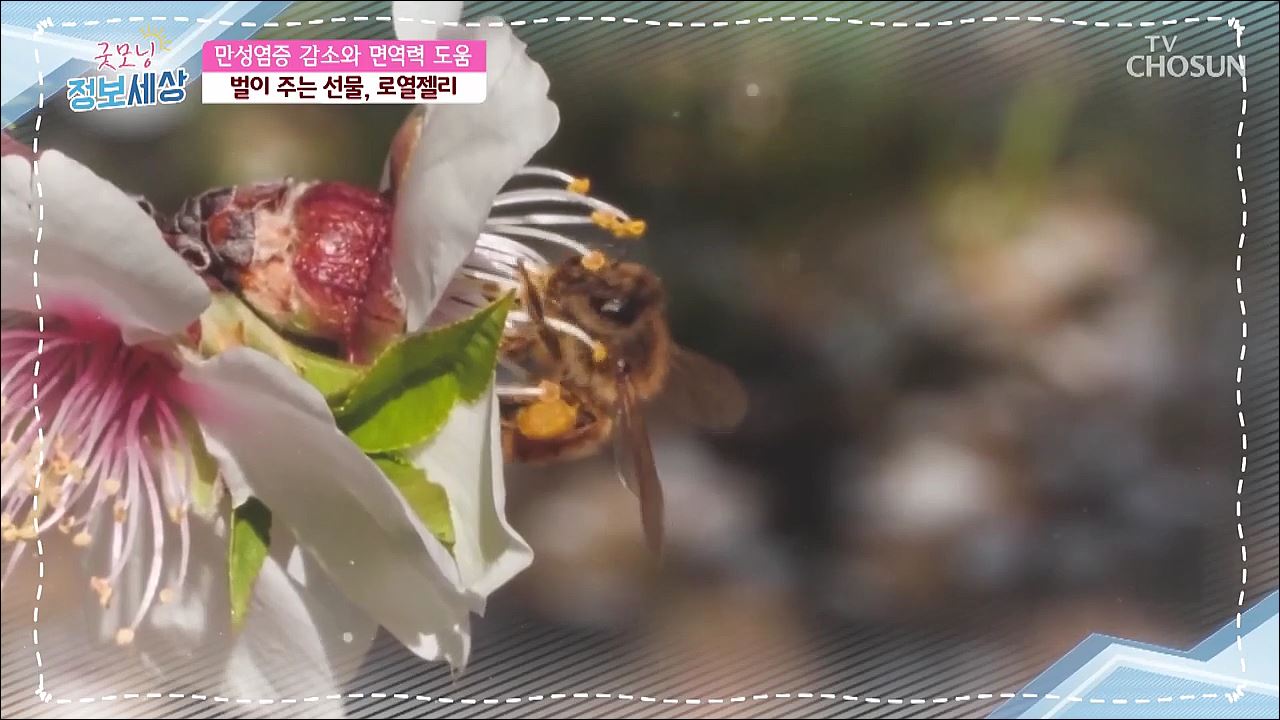 굿모닝 정보세상 300회 