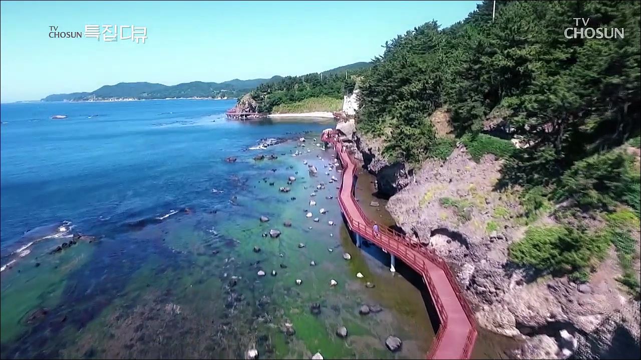 대한민국 수소사회를 꿈꾸다