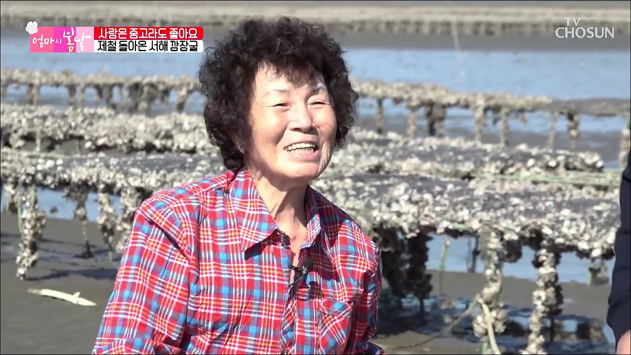 엄마의 봄날 268회  